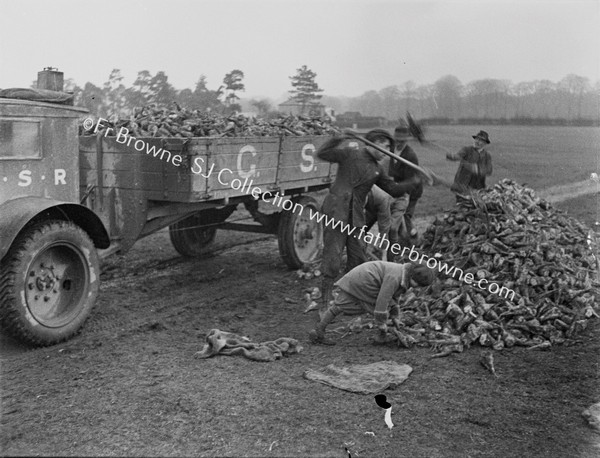 BEET WORKERS LOAD GSR TRUCK